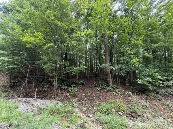 0 Woodchuck Lane #111, Marion, NC 28752