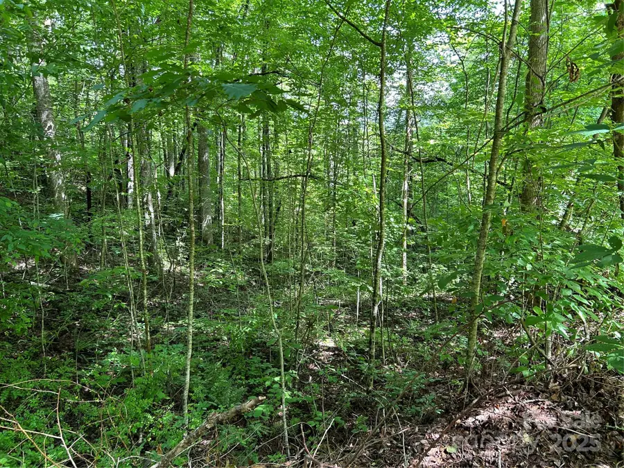 0 Loon Lane #50, Whittier, NC 28789 - Image #3