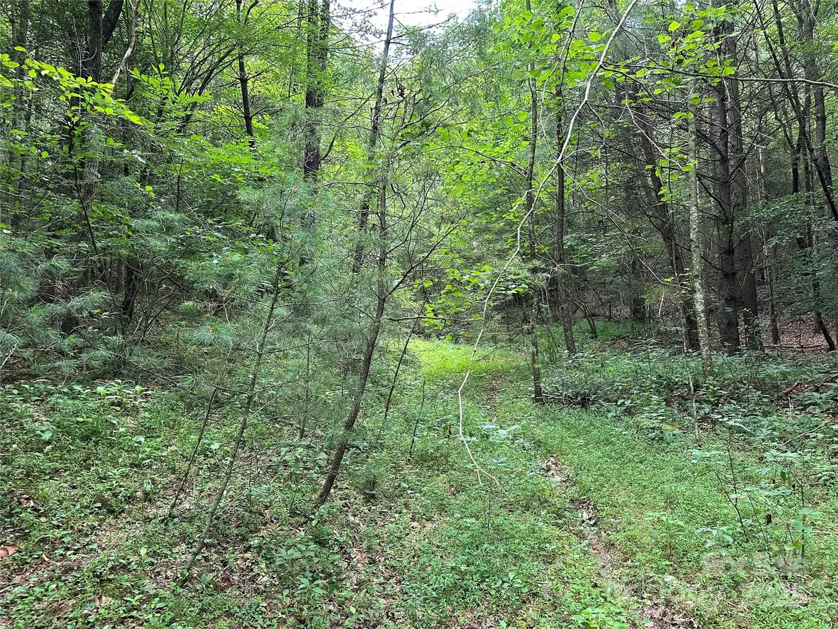 00 Benny Parsons Road, Millers Creek, NC 28651 - #1