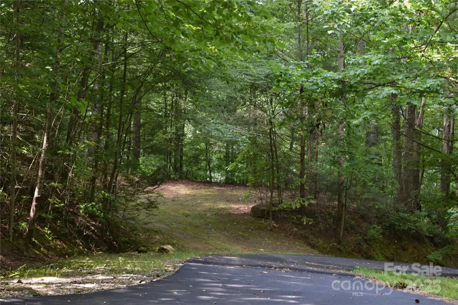 TBD Hideaway Ridge Trail #33 & 33A, Robbinsville, NC 28771 - Image #3