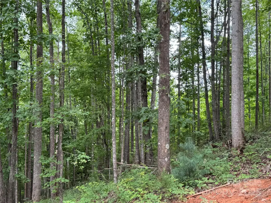 2.01 acres, Lot 971 Soaring Top Lane #971, Lenoir, NC 28645 - Image #2