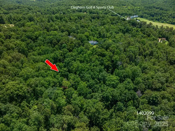 Lot 169 Coxe Road, Rutherfordton, NC 28139