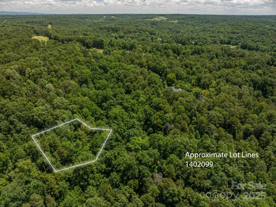 Lot 169 Coxe Road, Rutherfordton, NC 28139 - Image #3