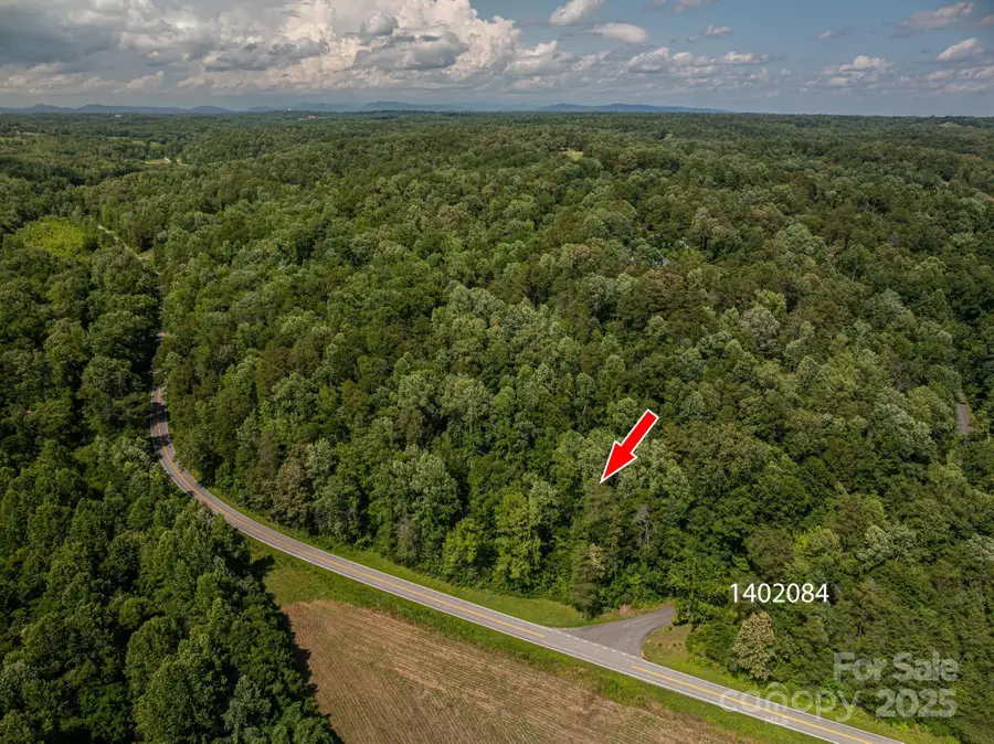 Lot 160 Coxe Road, Rutherfordton, NC 28139 - Image #3