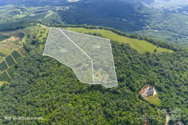 1260 Mountain Laurel Parkway #Lot 8, Newland, NC 28657
