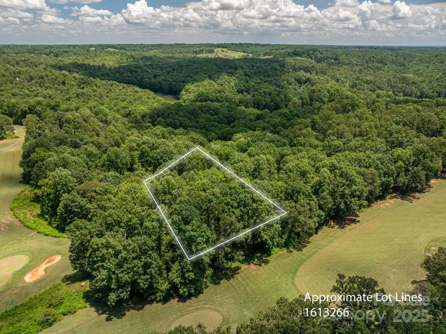 Lot 218 Plantation Drive, Rutherfordton, NC 28139 - Image #3