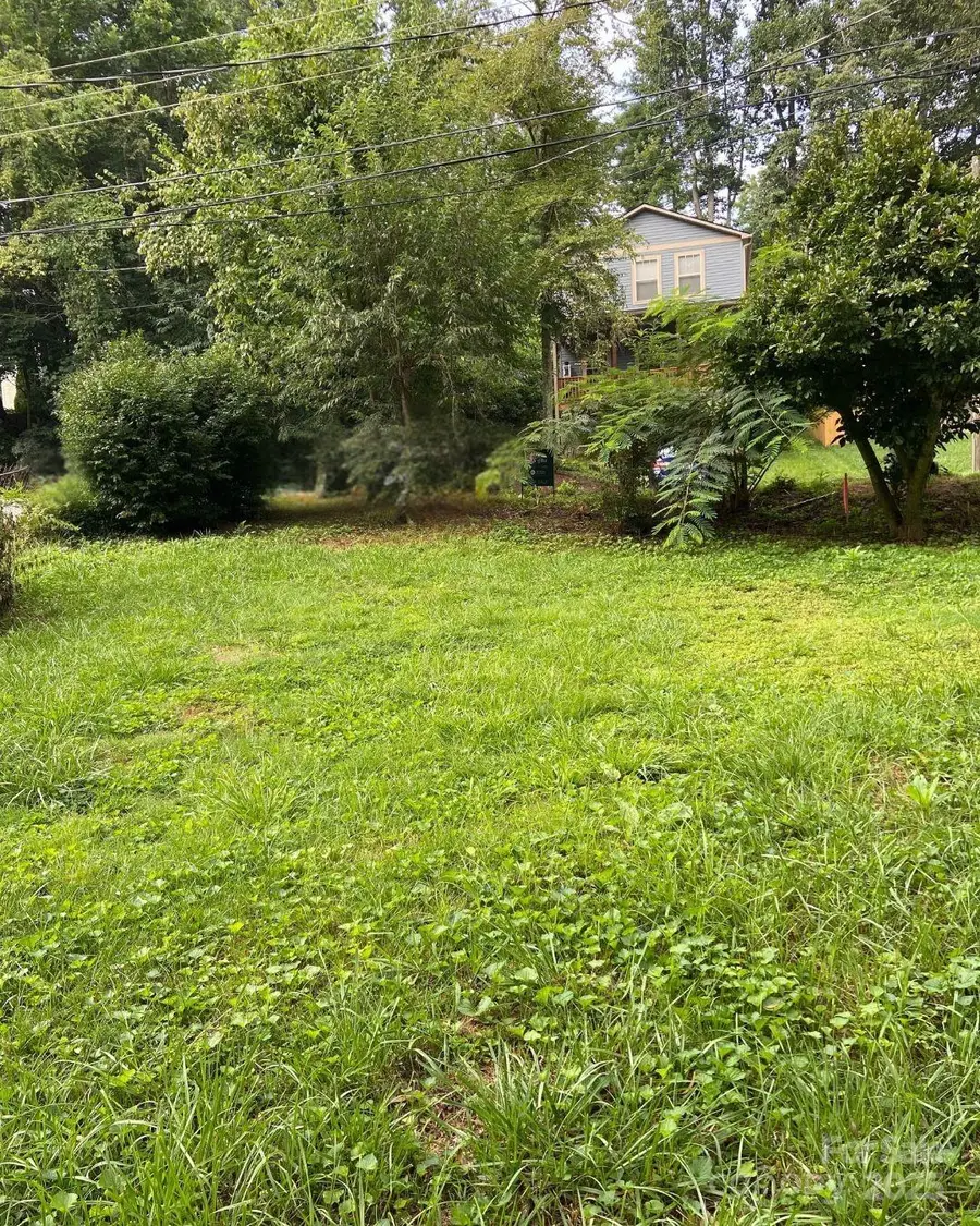 125 Shadowlawn Drive, Asheville, NC 28806 - Image #3