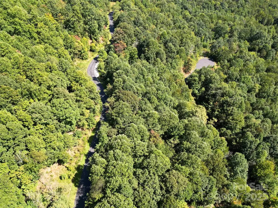 Lot 117 Owls Ridge Drive, Bostic, NC 28018 - Image #2