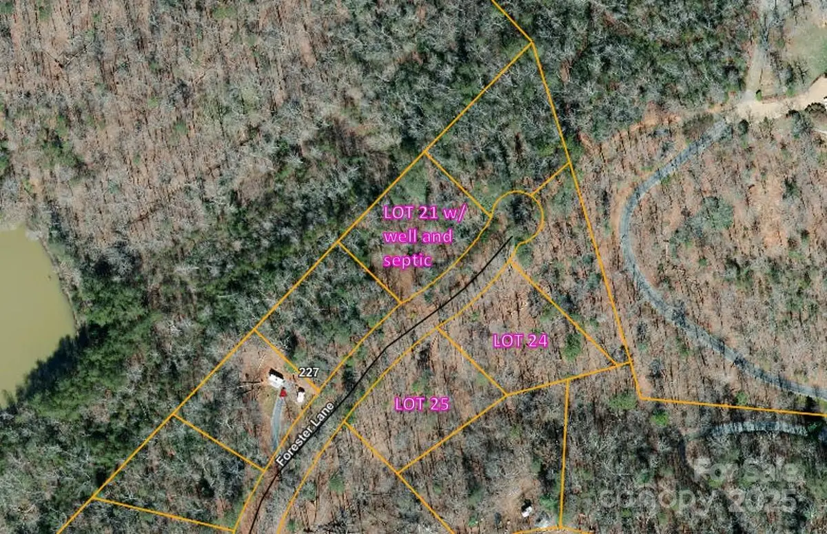 000 Forester Lane #25, Mill Spring, NC 28756 - Image #1