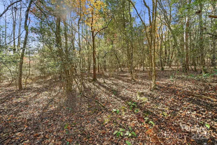 VL Indian Grave Road, Lenoir, NC 28645 - Image #2