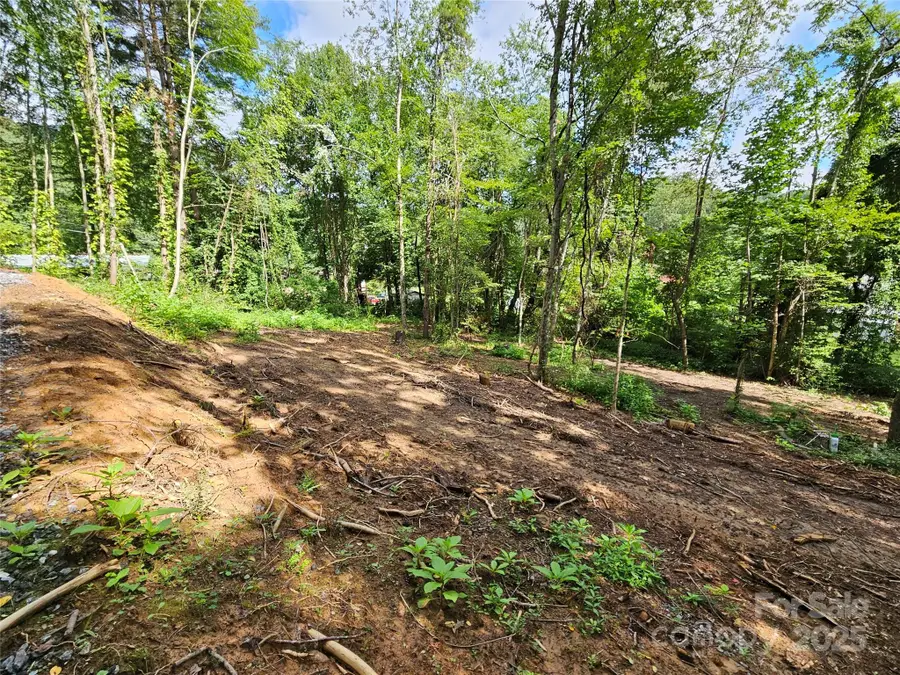 000 Dolan Road #1, Waynesville, NC 28786 - Image #2