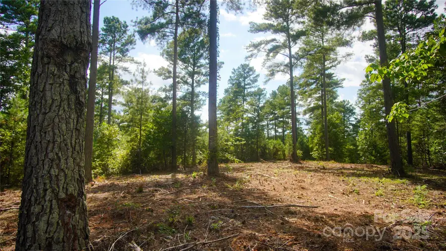 00 Scenic Lane #180, Granite Falls, NC 28630 - Image #3