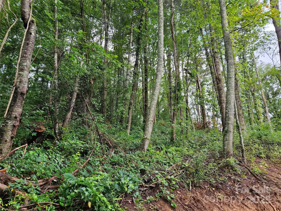 000 Dolan Road #2, Waynesville, NC 28786 - Image #2