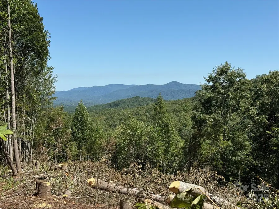 1187 Grandview Peaks Drive #187, Nebo, NC 28761 - Image #2