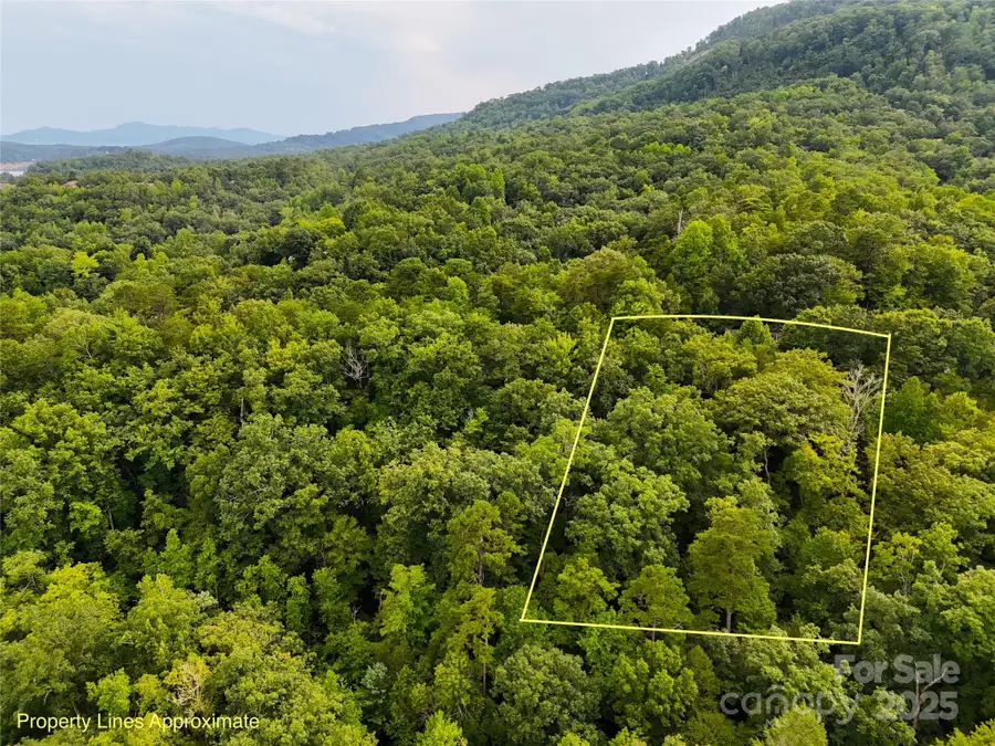 TBD Rumbling Bald Road #15, Lake Lure, NC 28746 - Image #2