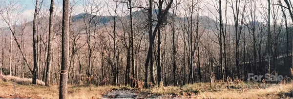 24 Anns Lane, Hayesville, NC 28904