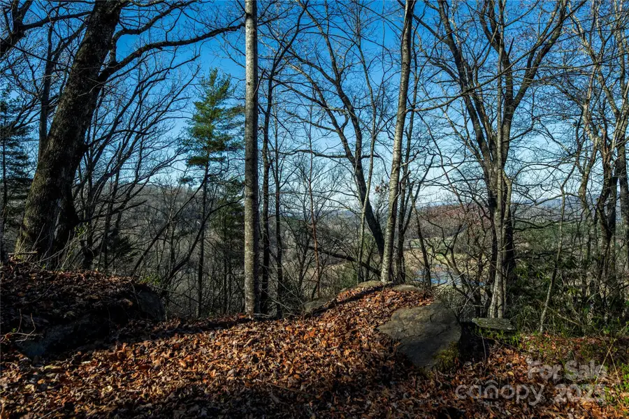 TBD Three Mile Knob Road #L1, Pisgah Forest, NC 28768 - Image #2