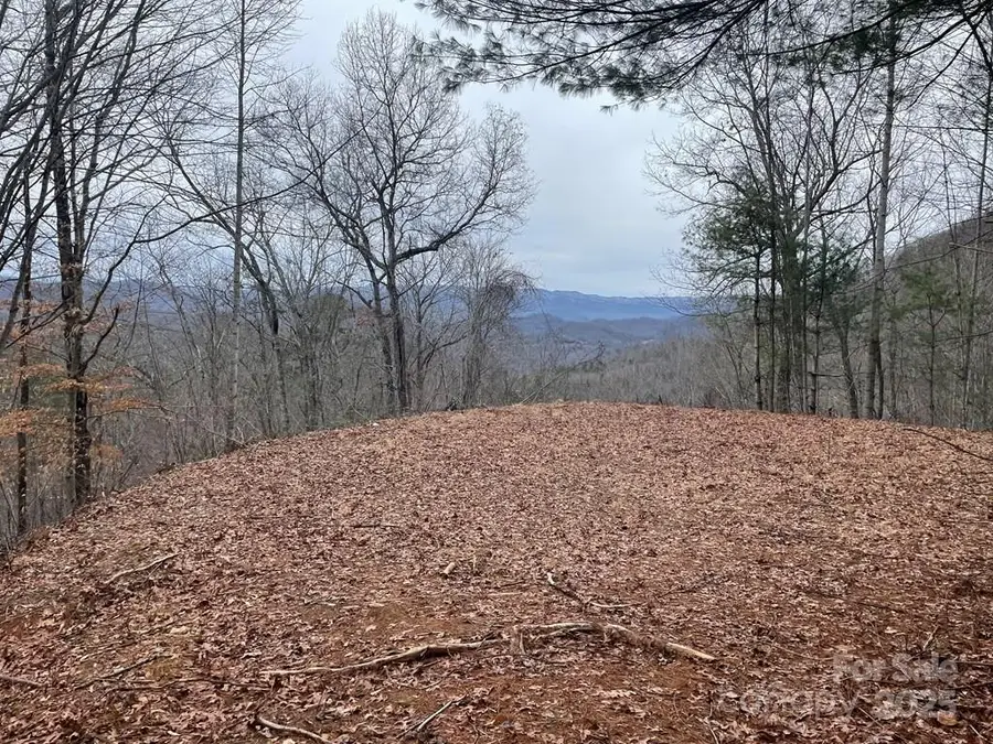 105 Starlight Lane, Bryson City, NC 28713 - Image #3