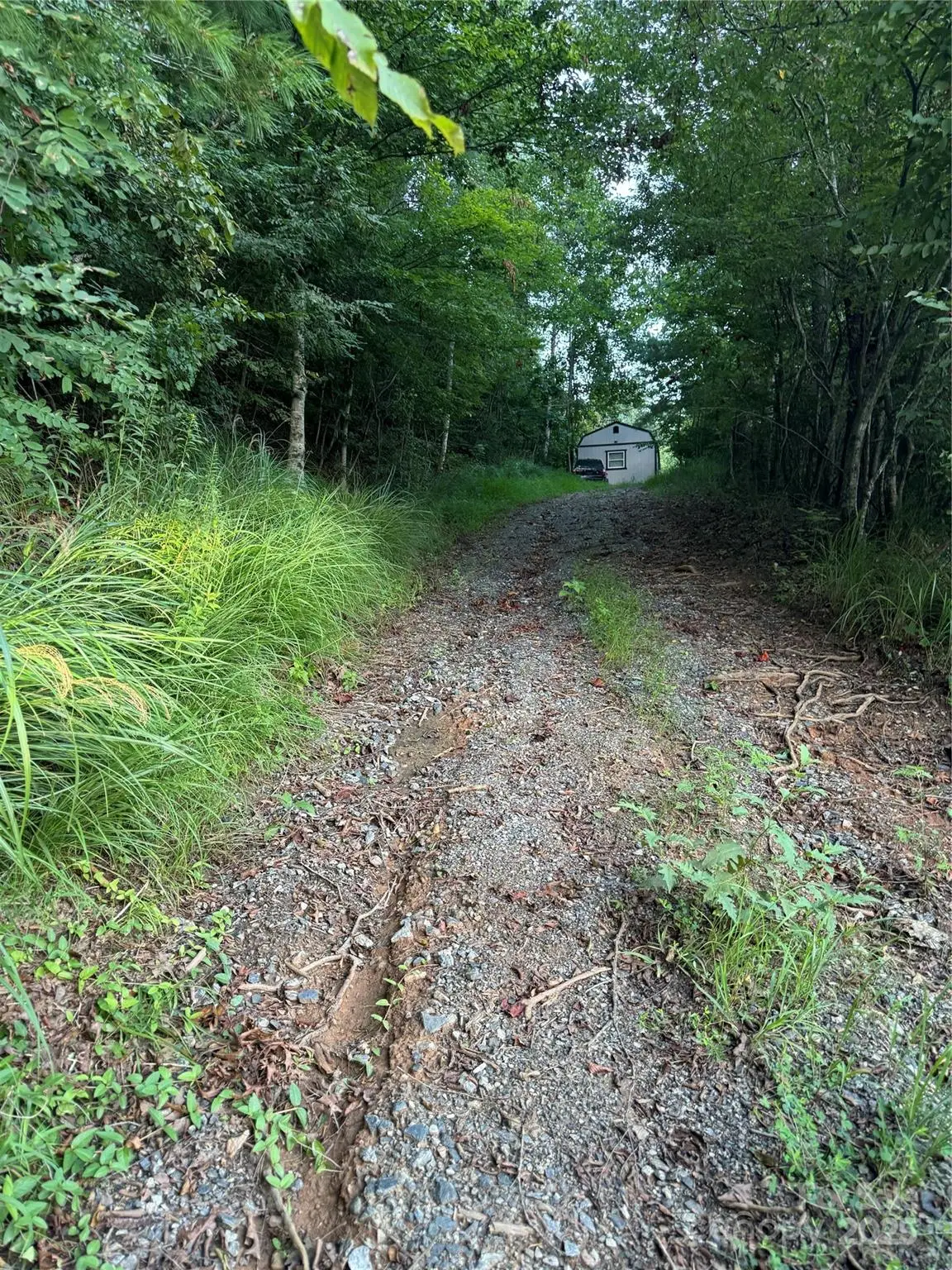 TBD Grapevine Road, Marshall, NC 28753 - Image #1