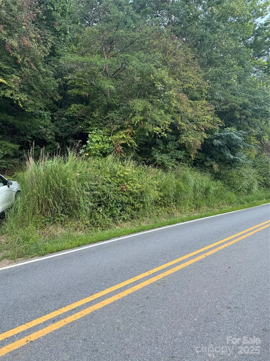 TBD Grapevine Road, Marshall, NC 28753 - Image #2