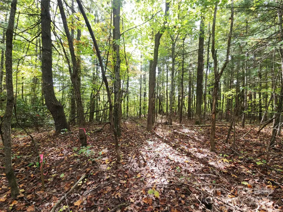 99999 N Pointe Drive #5 and 30, Zirconia, NC 28790 - Image #2