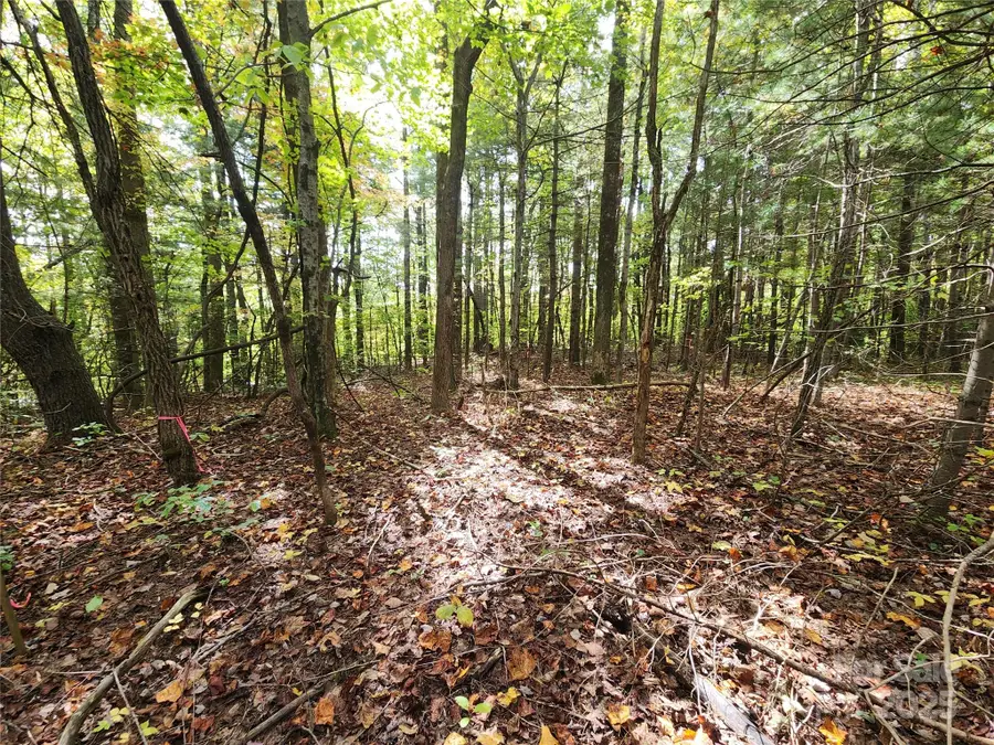 99999 N Pointe Drive #5 and 30, Zirconia, NC 28790 - Image #3