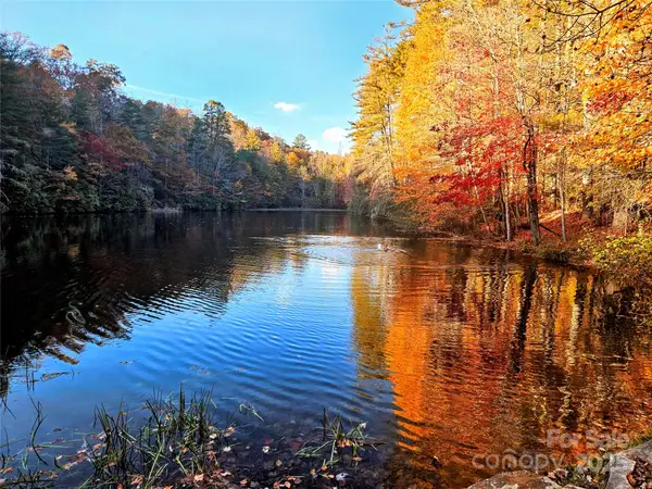 900 Bud Siniard Road, Brevard, NC 28712