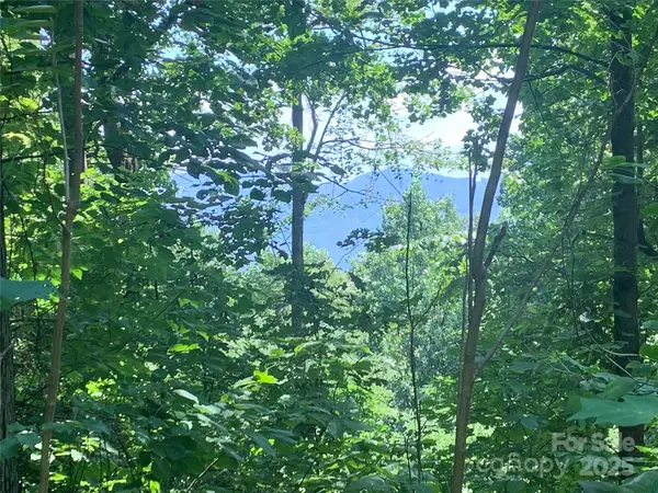 1915 Creston Drive #T-18, Black Mountain, NC 28711