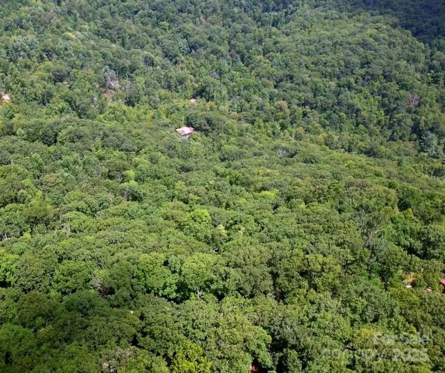 13 Old Mill Road, Hendersonville, NC 28792 - Image #3