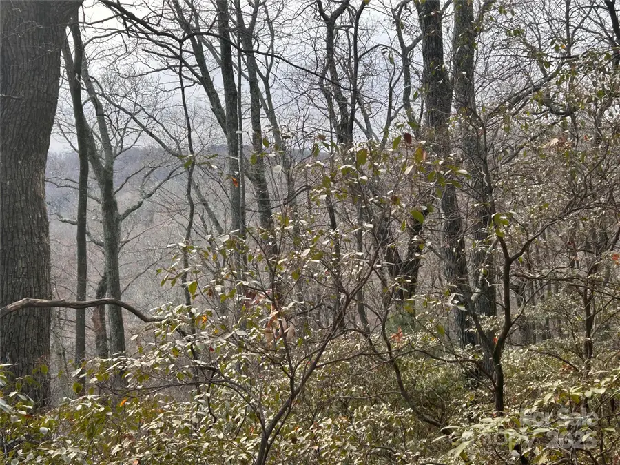 Lot 21 Pine Ridge Road #21, Hendersonville, NC 28792 - Image #2