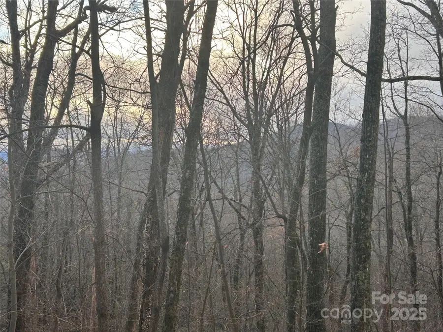 Lot 21 Pine Ridge Road #21, Hendersonville, NC 28792 - Image #3