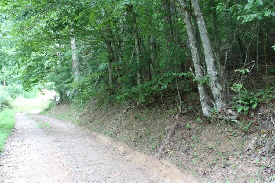 Lot 2 Cody Road, Marshall, NC 28753 - Image #3