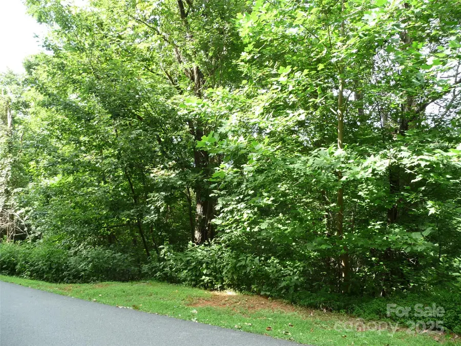 Lot 35 Morning Ride Drive #Lot 35, Columbus, NC 28722 - Image #3