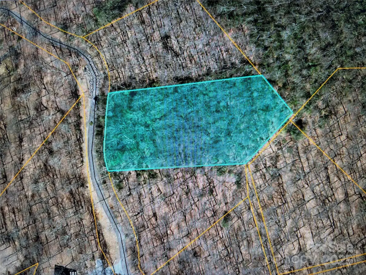 Lot 70 Serpentine Drive #Lot 70, Columbus, NC 28722 - Image #1