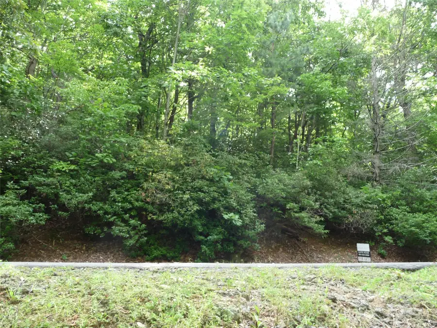 Lot 70 Serpentine Drive #Lot 70, Columbus, NC 28722 - Image #3