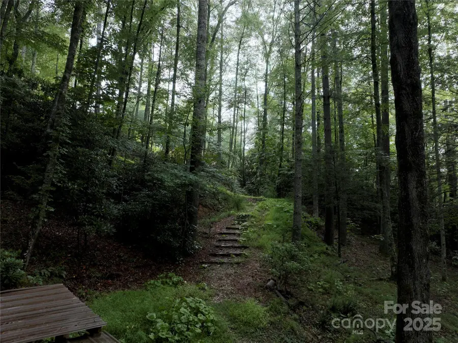 191 Pack Drive, Spruce Pine, NC 28777 - #2