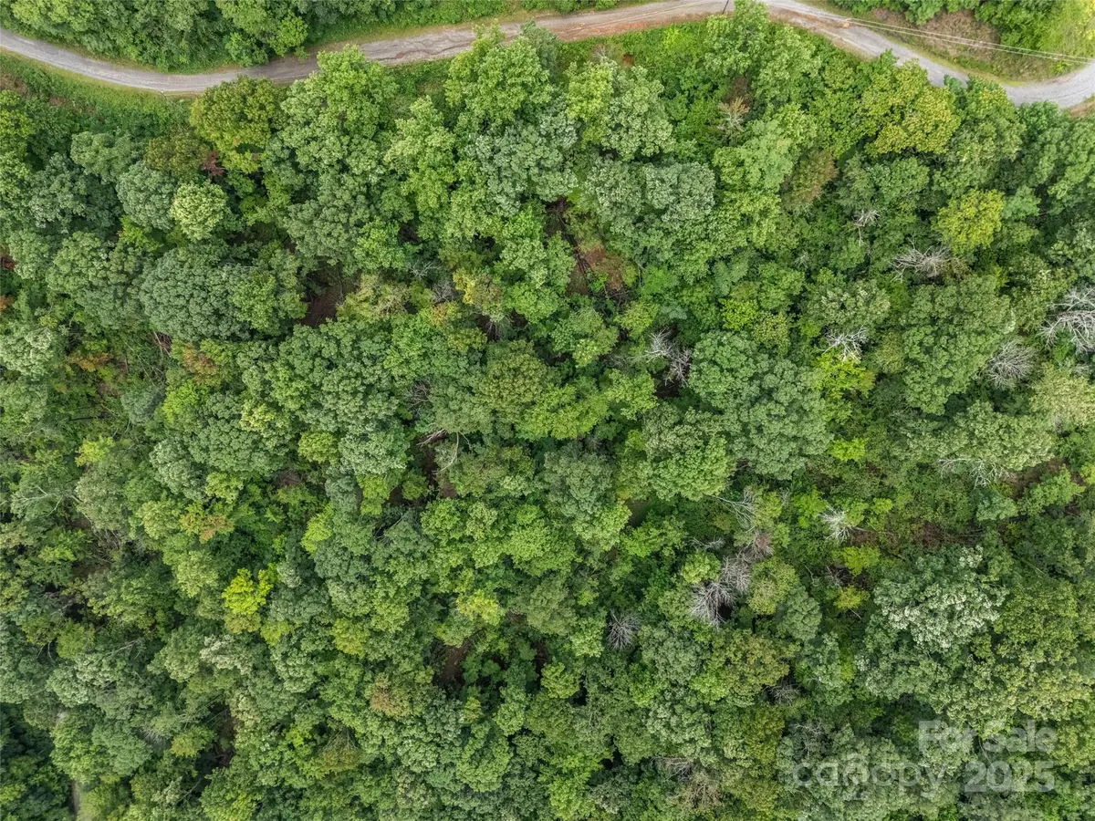 0 Peartree Drive #526, Lake Lure, NC 28746 - Image #1