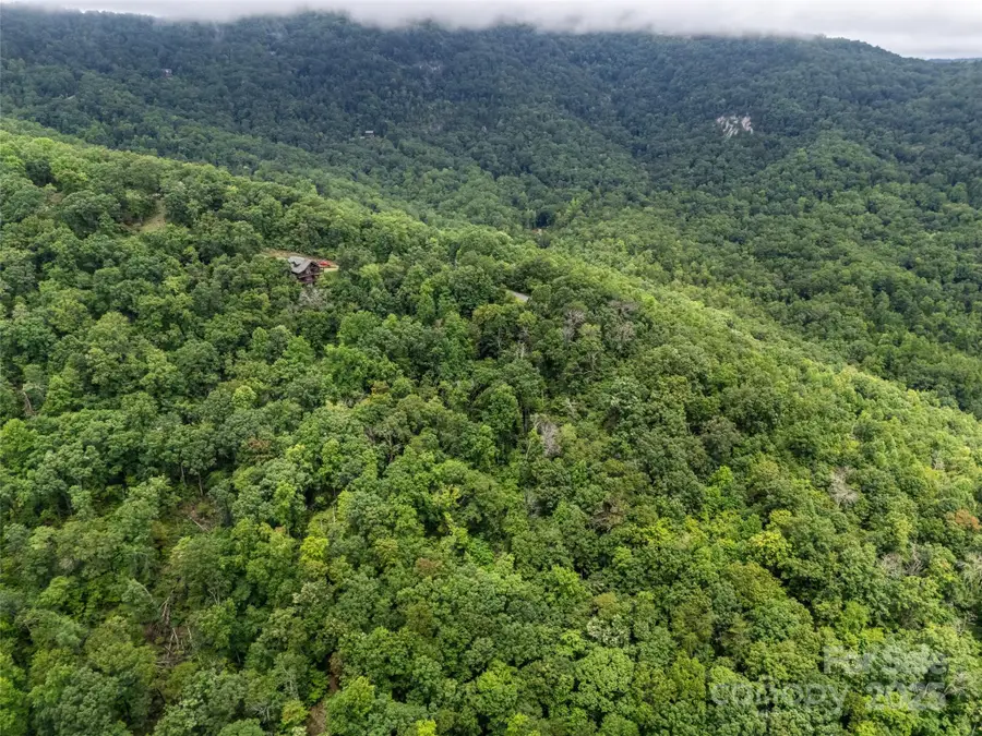 0 Peartree Drive #526, Lake Lure, NC 28746 - Image #2