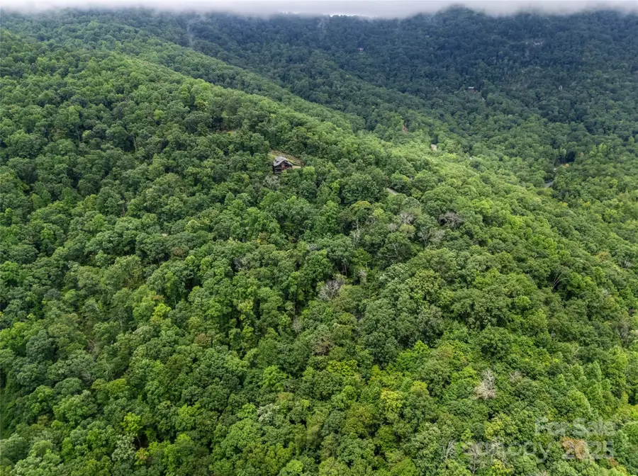 0 Peartree Drive #526, Lake Lure, NC 28746 - Image #3