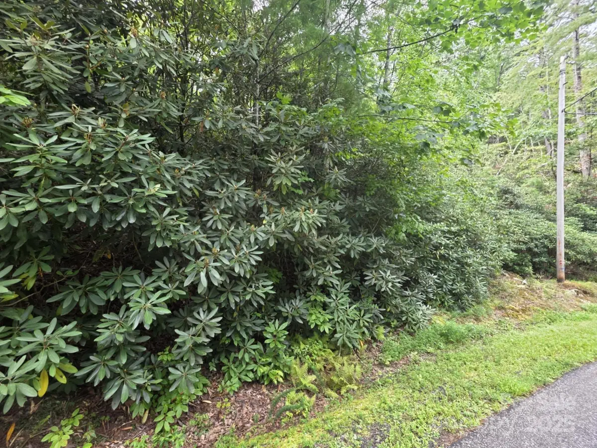 Lot 12 Deer Ridge Trail #12, Marion, NC 28752 - Image #1