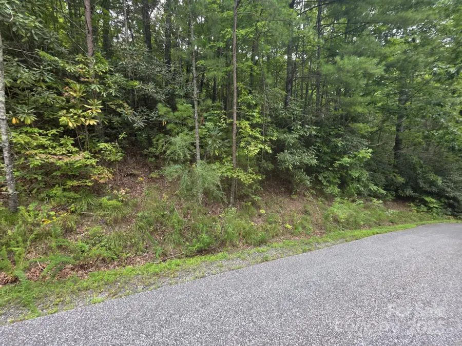 Lot 12 Deer Ridge Trail #12, Marion, NC 28752 - Image #3