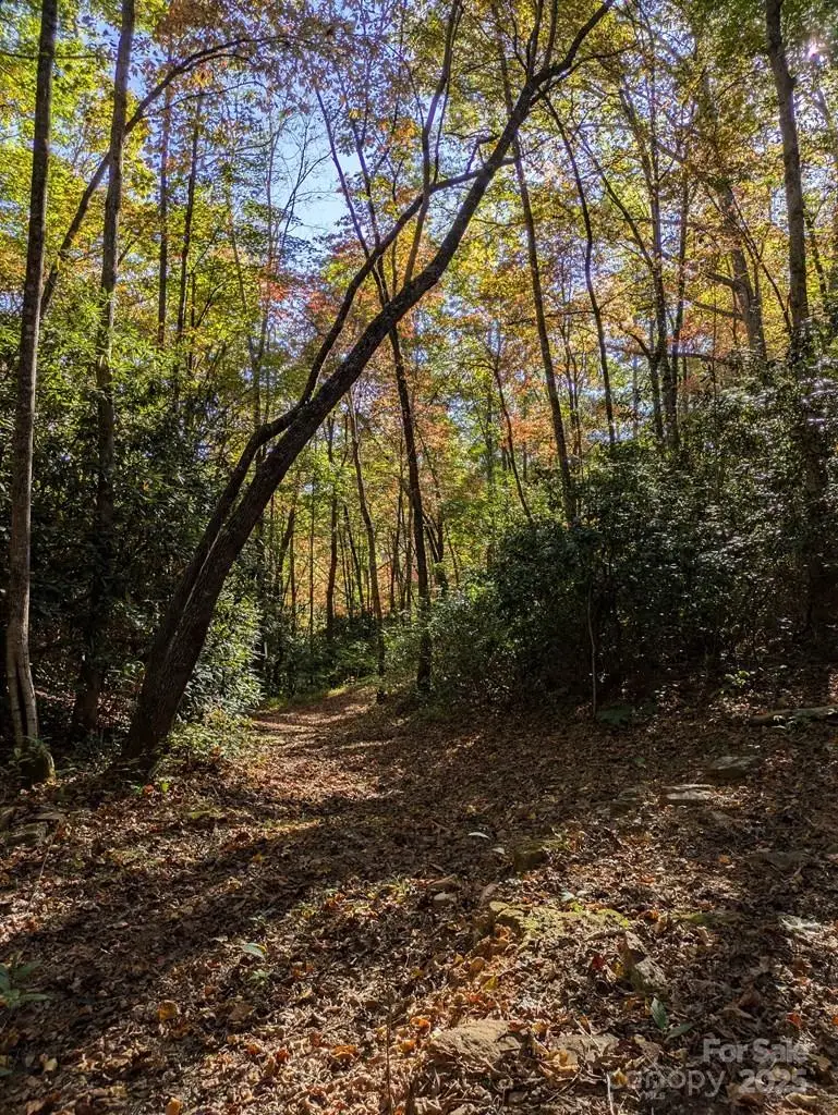 00 Sutton Branch Road, Sylva, NC 28779 - Image #2