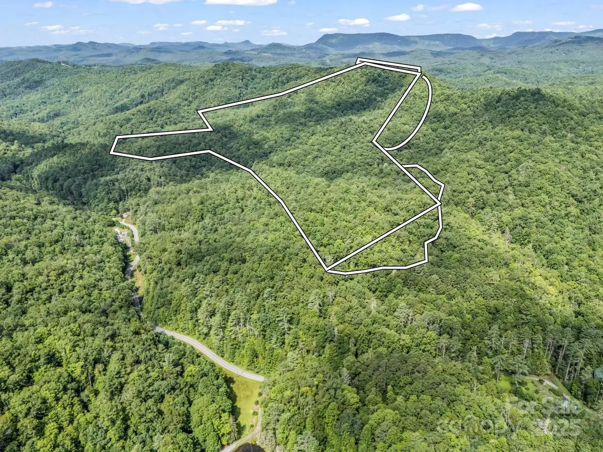 TBD Frozen Creek Road, Brevard, NC 28712 - Image #1