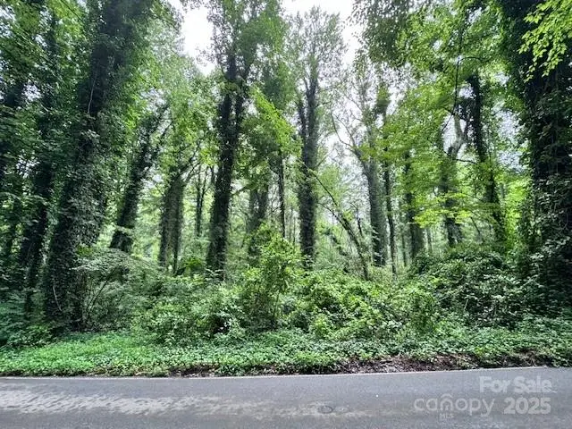 0 Boyd Drive #5, Flat Rock, NC 28731 - Image #3