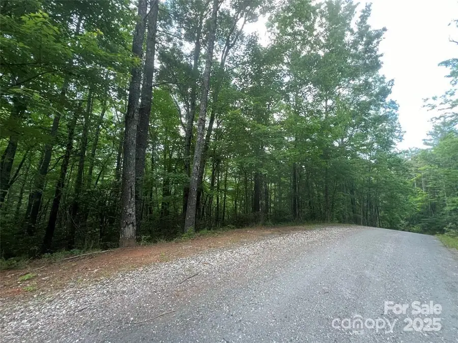 V/L Fox Ridge Trail #13, Marion, NC 28752 - Image #2