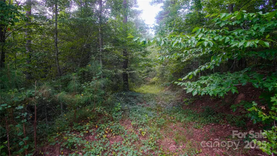 00 Scenic Drive #182, Granite Falls, NC 28630 - Image #3