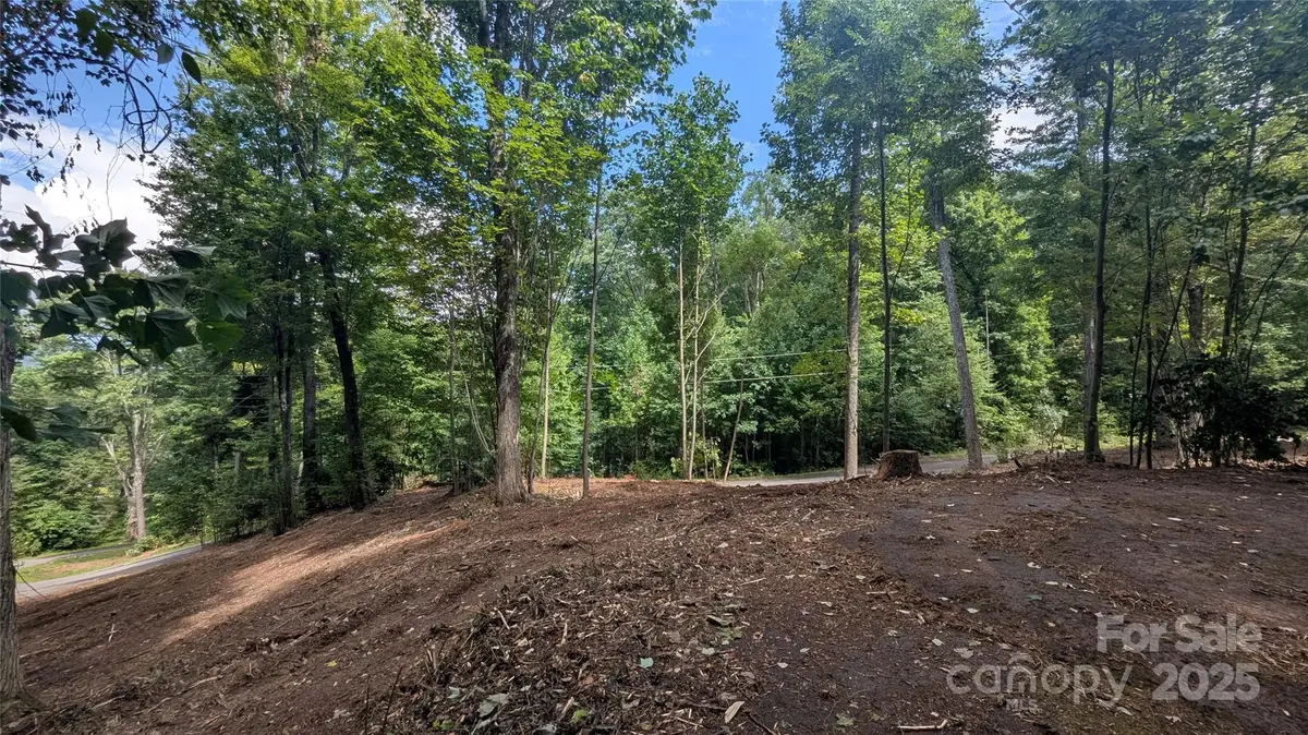 88 Apple Tree Court #1, Waynesville, NC 28786 - Image #1