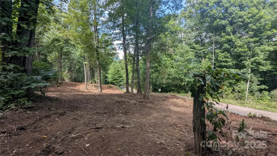 88 Apple Tree Court #1, Waynesville, NC 28786 - Image #2