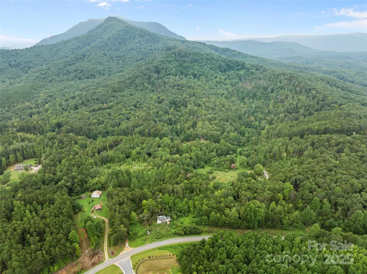 823 Silver Creek Road, Mill Spring, NC 28756 - Image #1