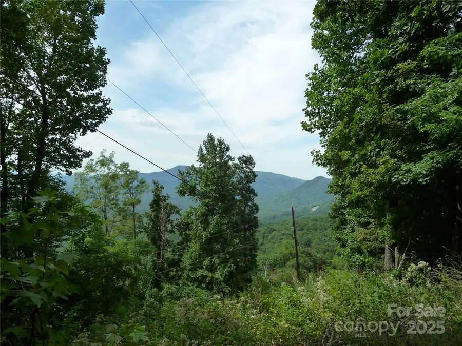 999 Skyuka Mountain Road #Lot 9, Columbus, NC 28722 - Image #2